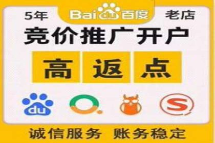 金融行业开户返点策略成功实例